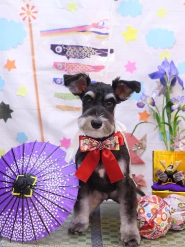 20240503音ちゃん